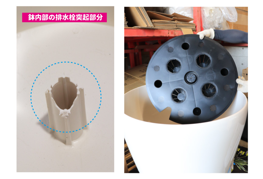 アウトレット訳アリセール