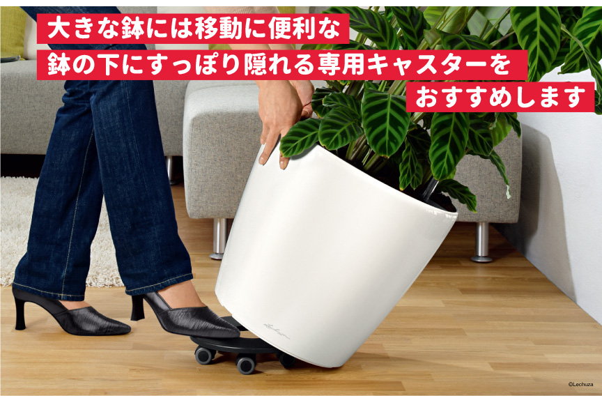 アウトレット訳アリセール