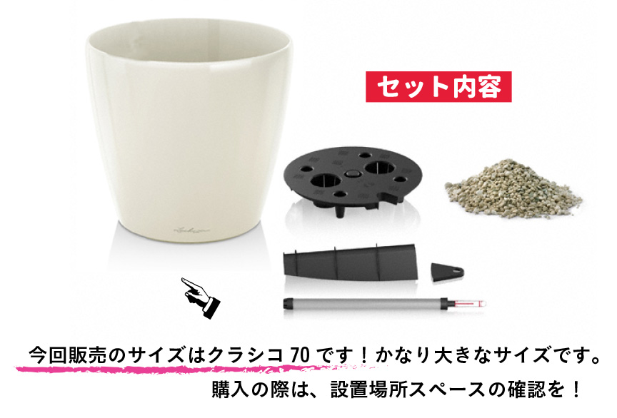 アウトレット訳アリセール