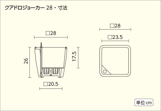 サイズ