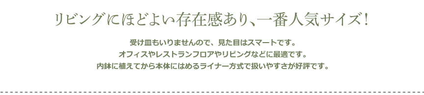 レチューザ【クアドロジョーカー35】