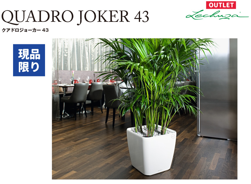 レチューザ【クアドロジョーカー43】