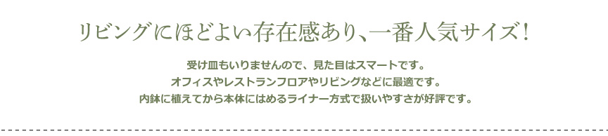 レチューザ【クアドロジョーカー43】