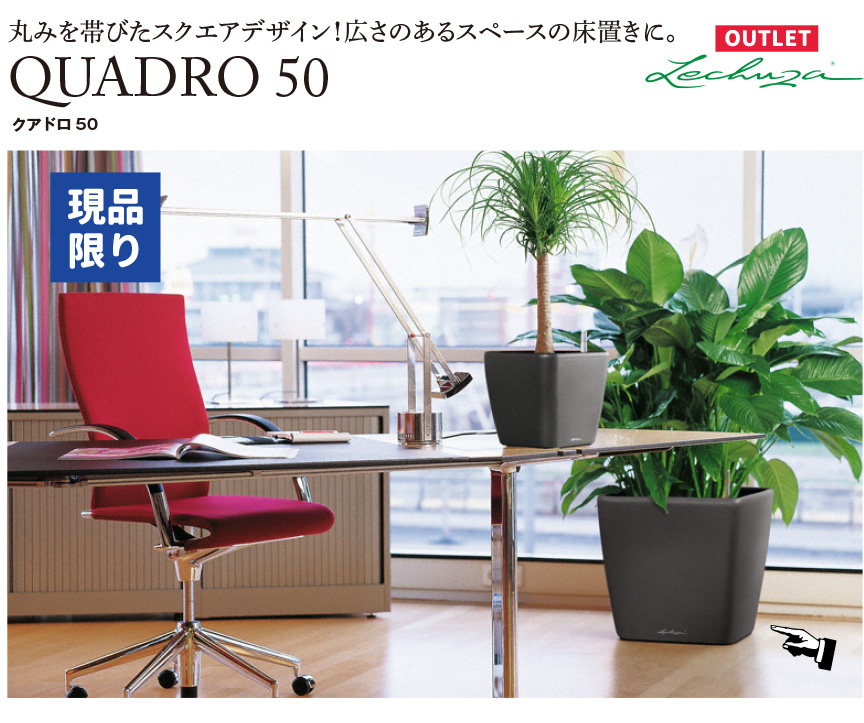 レチューザ訳アリセール