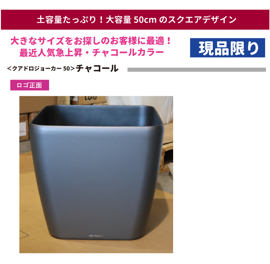 レチューザ訳アリセール