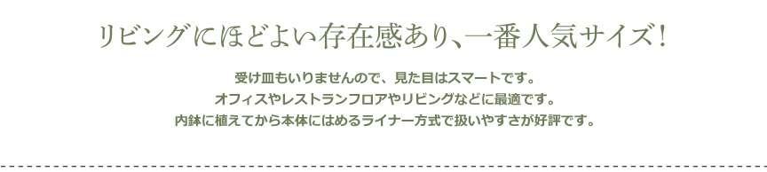 レチューザ【クアドロジョーカー50】