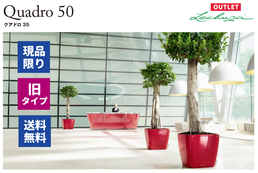 レチューザ【クアドロジョーカー50】