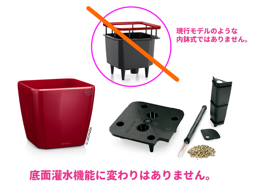 レチューザ訳アリセール