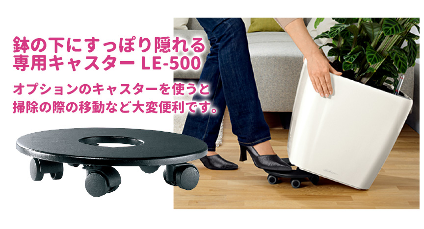 レチューザ訳アリセール