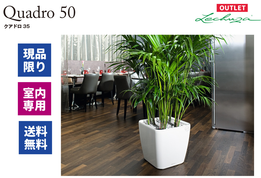 レチューザ【クアドロジョーカー50】