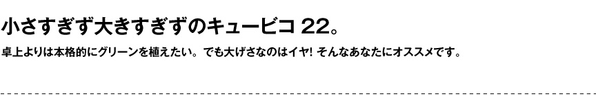 レチューザ【キュービコ22】