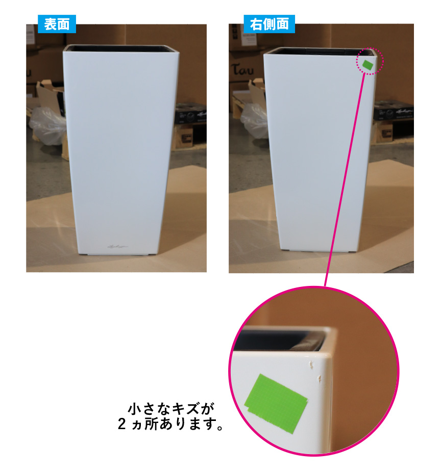 レチューザ訳アリセール