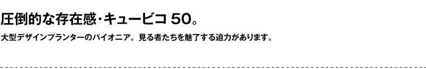 レチューザ【キュービコ50】
