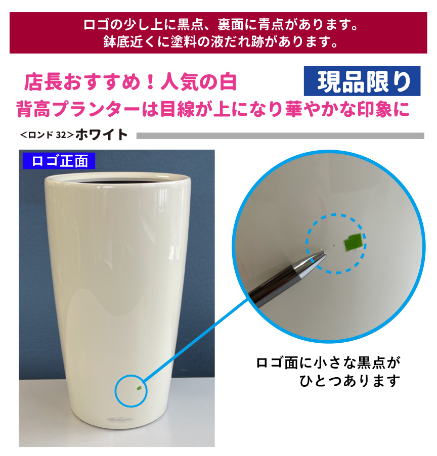 レチューザ訳アリセール