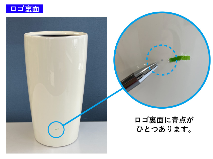 レチューザ訳アリセール