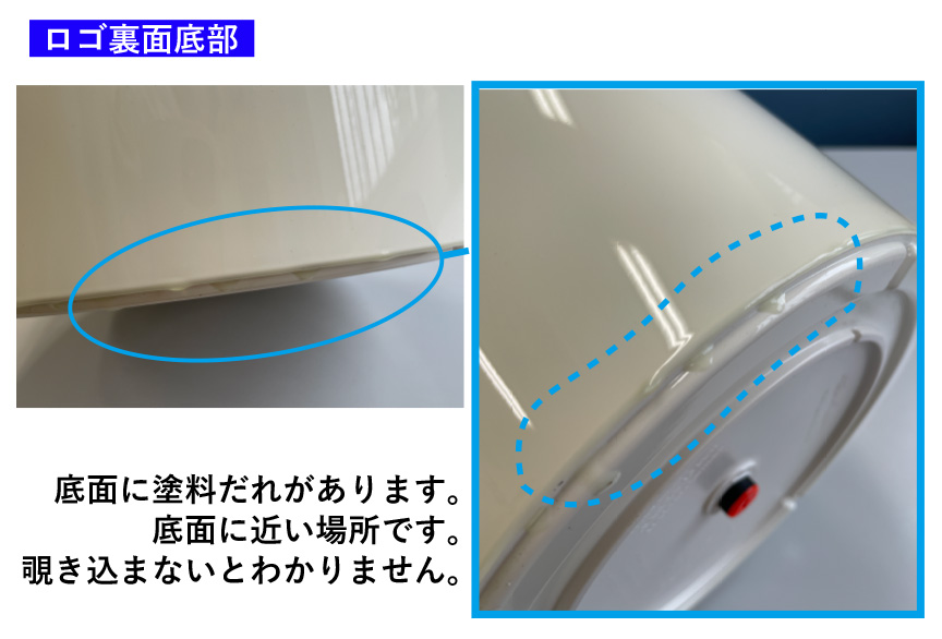 レチューザ訳アリセール