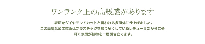 レチューザ【ディアマンテ】