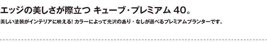  レチューザ【キューブ・プレミアム40 】