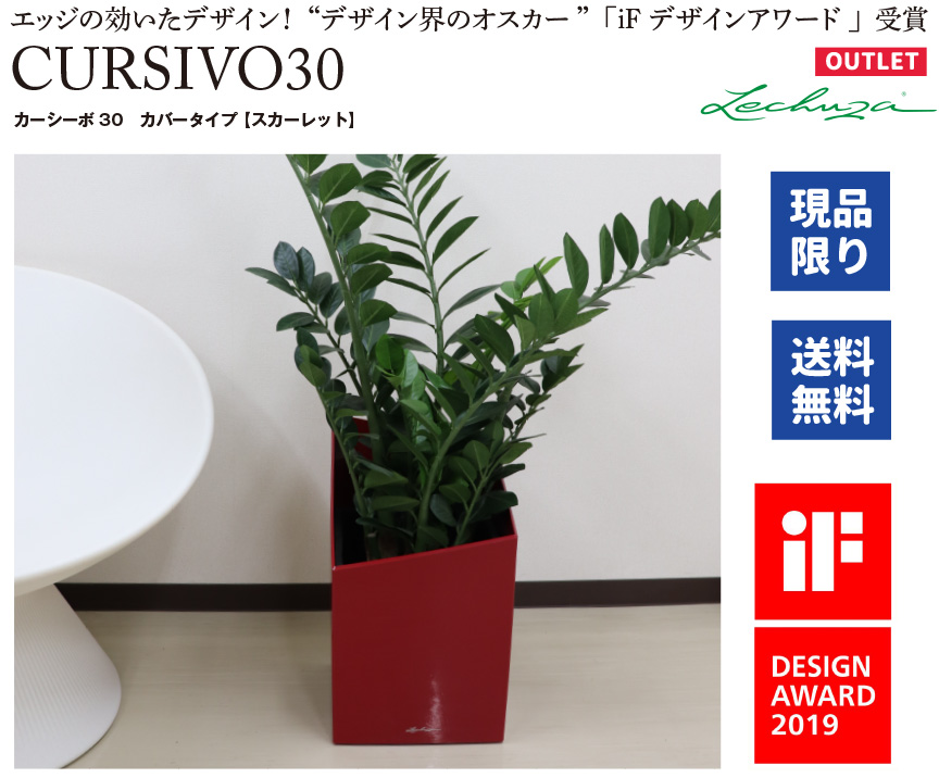 レチューザ訳アリセール