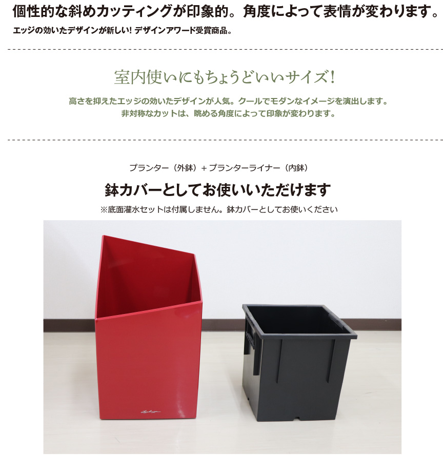 レチューザ訳アリセール