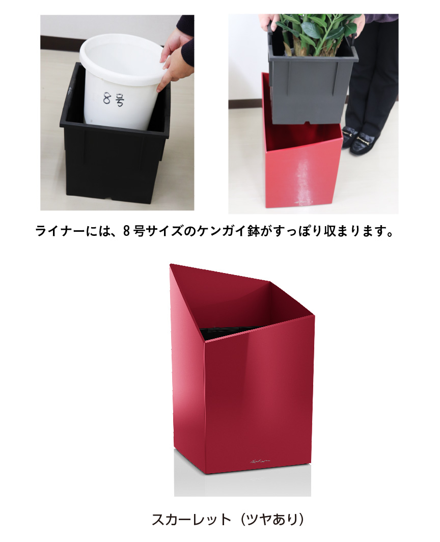 レチューザ訳アリセール