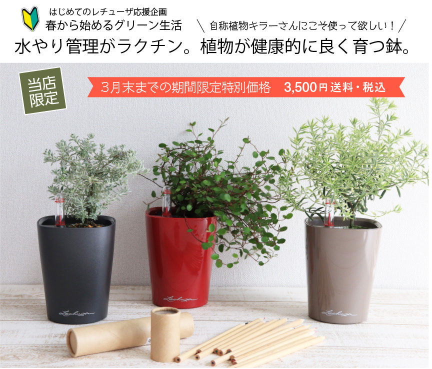 レチューザ