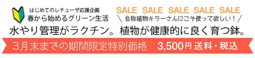 レチューザ