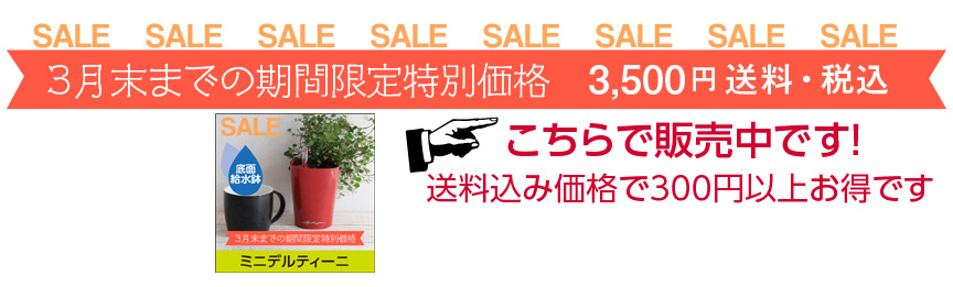 レチューザ