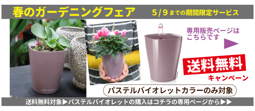 送料無料キャンペーンページ