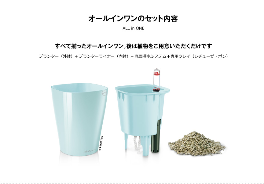 レチューザ【ミニデルティーニ】