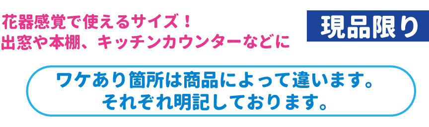 レチューザ【ミニデルティーニ】