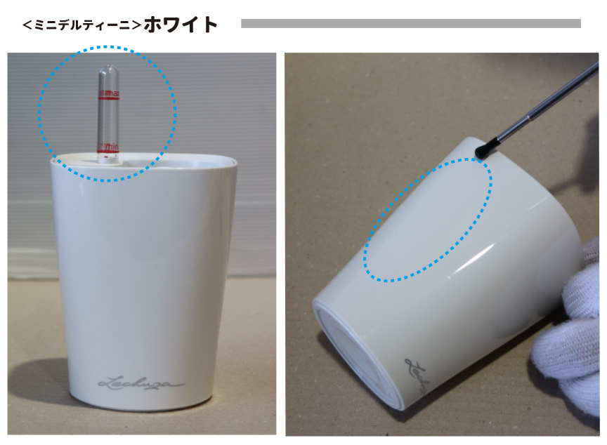 レチューザ訳アリセール