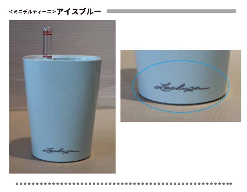 レチューザ訳アリセール