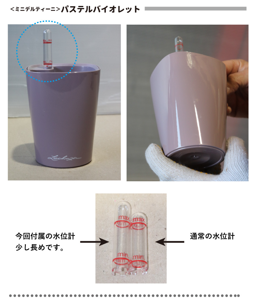 レチューザ訳アリセール