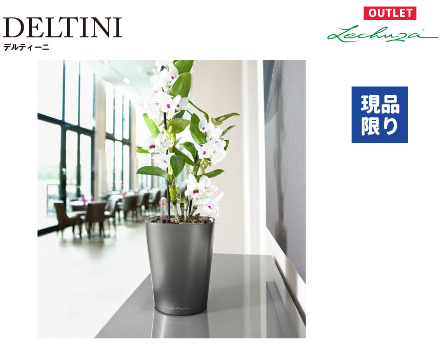 レチューザデルティーニアウトレットセール