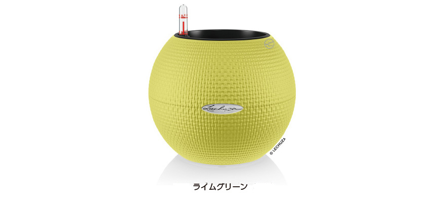 カラーラインナップ