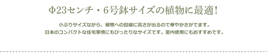 6号鉢サイズの植物に最適!