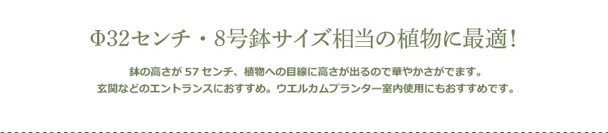 8号鉢サイズの植物に最適!