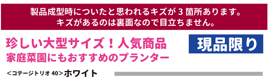 レチューザ訳アリセール