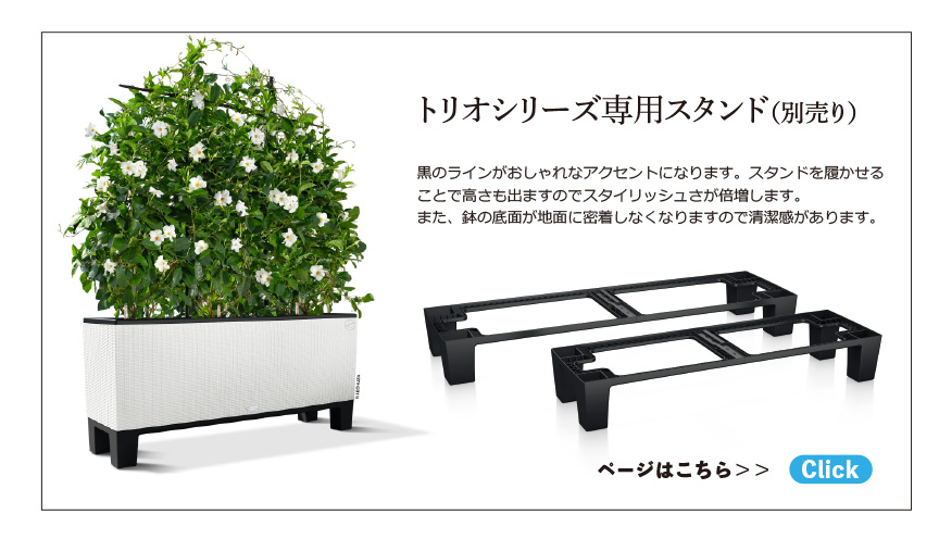 アウトレット訳アリセール