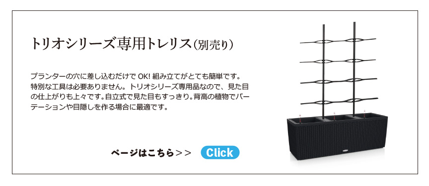 アウトレット訳アリセール