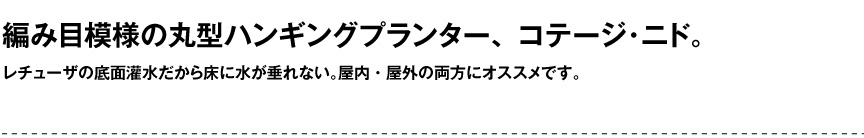 レチューザ【コテージニド】
