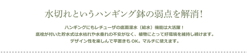 レチューザ【コテージニド】