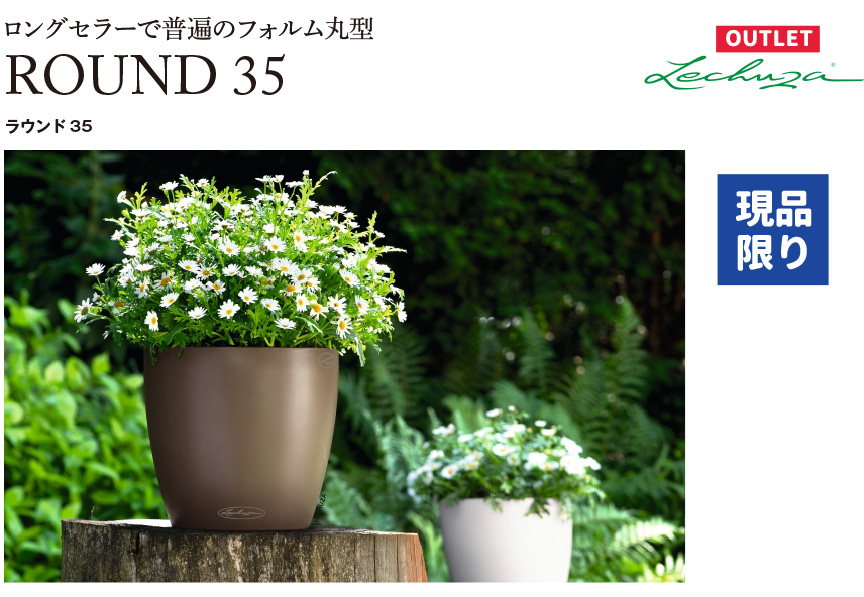 レチューザ訳アリセール