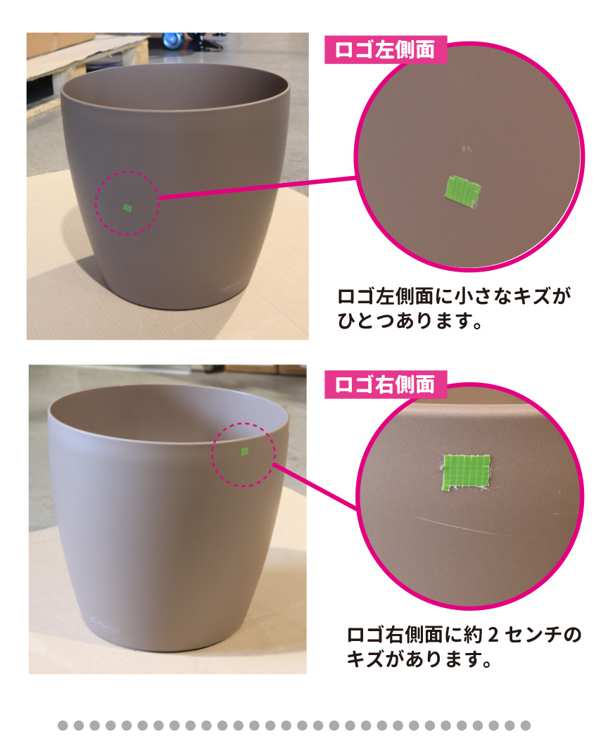 レチューザ訳アリセール