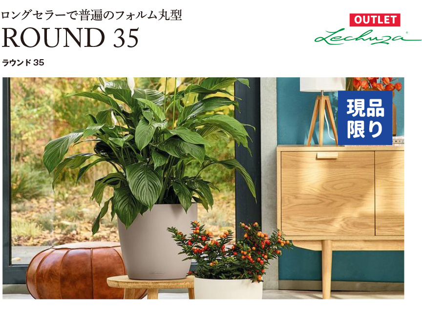 レチューザ訳アリセール