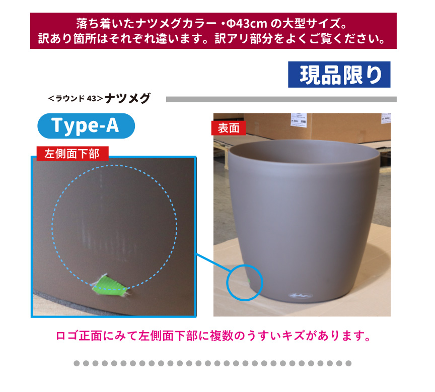 レチューザ訳アリセール