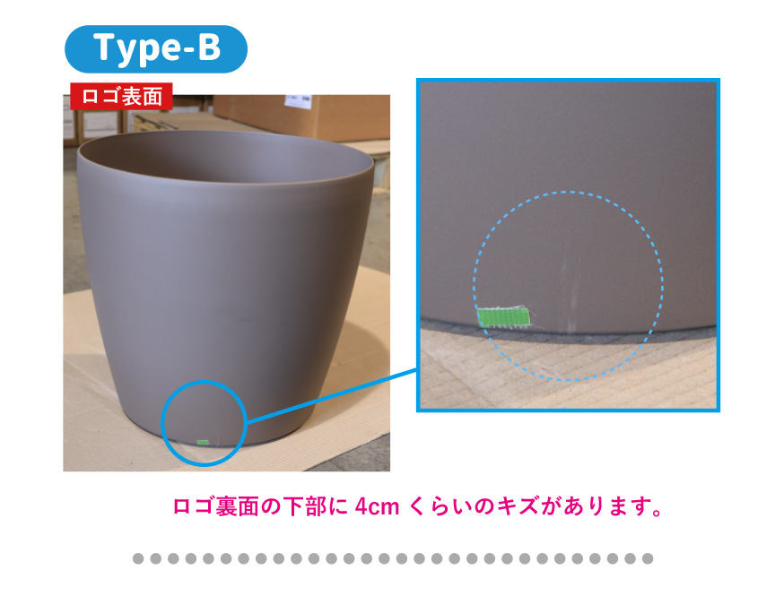 レチューザ訳アリセール