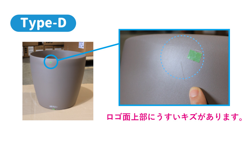レチューザ訳アリセール