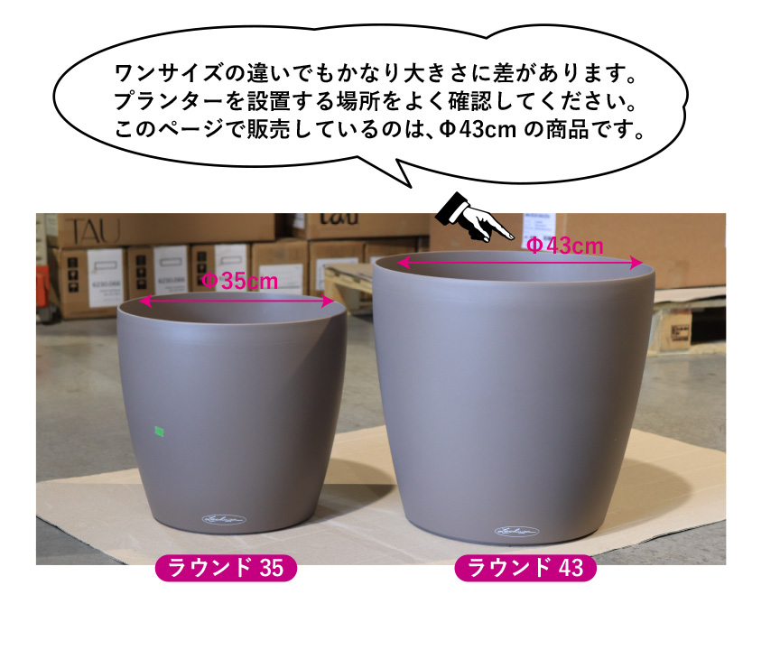 レチューザ訳アリセール